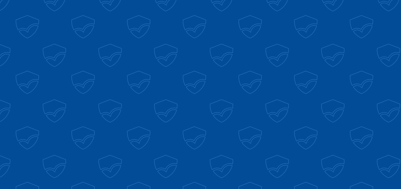 Anc official Pattern